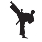 banniere horaires ombre d'un pratiquant de taekwondo qui fait un coup de pied