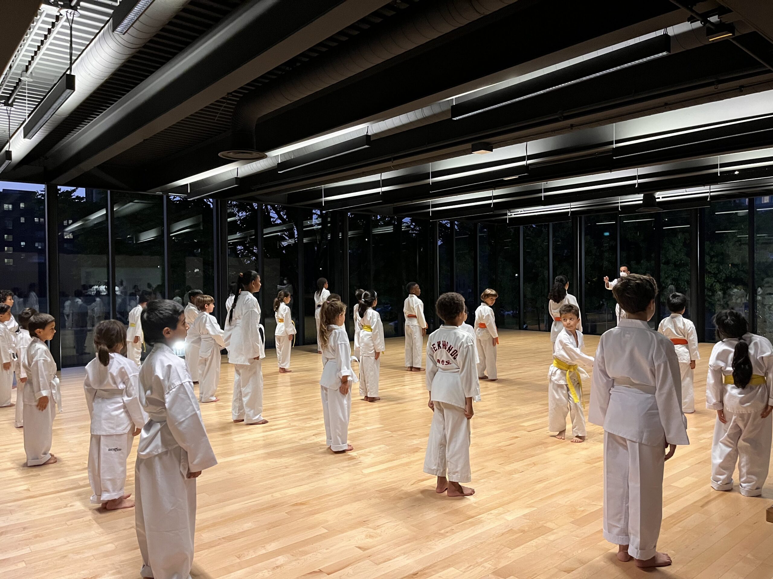 taekwondo enfant montreal