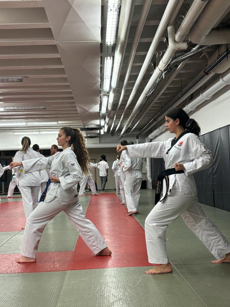 Inscriptions monrose taekwondo montreal adulte
