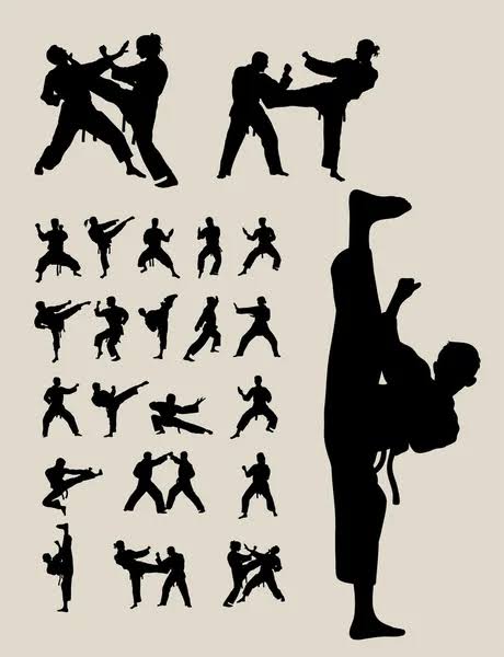 portfolio-08 Tkd 2026 Monrose